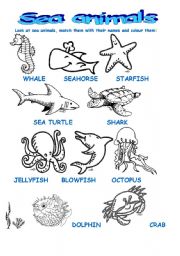 English Worksheet: SEA ANIMALS part 1