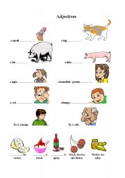 English Worksheet: Adjectives