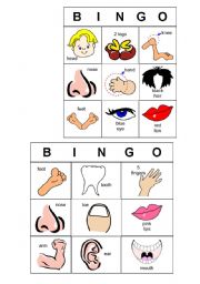 English Worksheet: bingo 