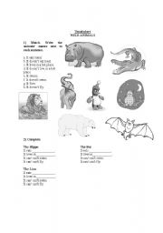 English Worksheet: Wild Animals