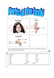 English Worksheet: parts of the body