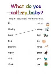 English Worksheet: Farm yard babies