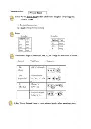 Simple Present  Tense Worksheet