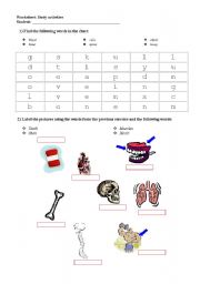 English Worksheet: The body - internal organs