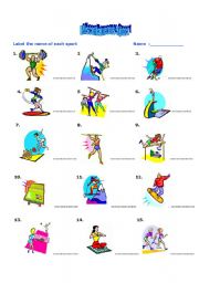 English Worksheet:  Sports Activity