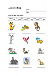 English Worksheet: Animal Spelling