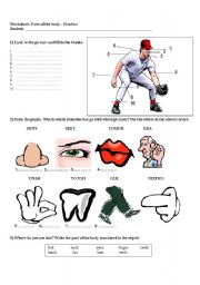 The body - great review worksheet