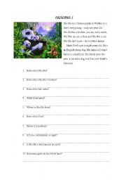 English Worksheet: Reading 