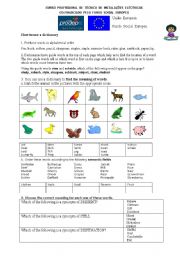 English Worksheet: Dictionary use