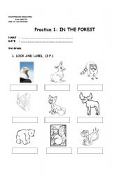 English worksheet: in the forest