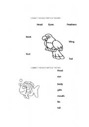 English Worksheet: Parts of the fish and bird