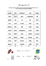 English Worksheet: Bin or Bean?