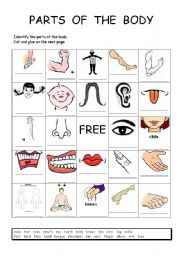 English Worksheet: Bingo body parts