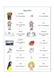 English Worksheet: opposites