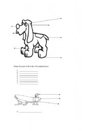 English Worksheet: ANIMAL BODY PARTS