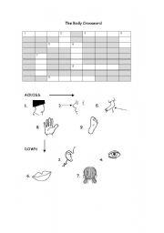 English Worksheet: THE BODY CROSSWORD