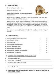 English Worksheet: A lion - present simple