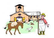 farm flashcard