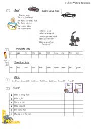 English Worksheet: Tim and Mitsi