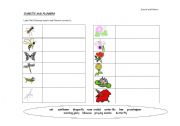 English Worksheet: Insects and Flowers