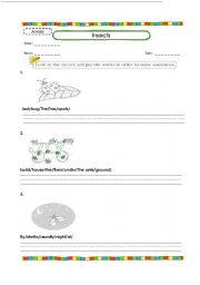 English Worksheet: Insect