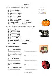 English Worksheet: simple present tense