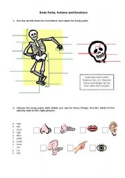 English Worksheet: Body Parts, Actions and Emotions