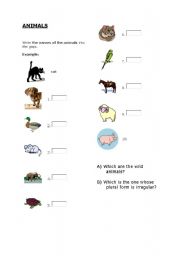 English Worksheet: Animals