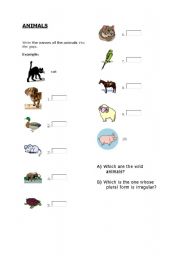 English worksheet: Animals