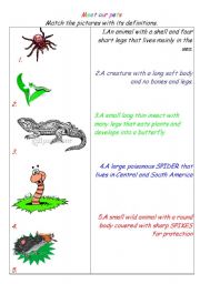 English worksheet: animals