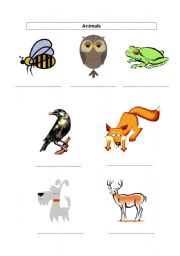 English Worksheet: Easy Animal Spelling