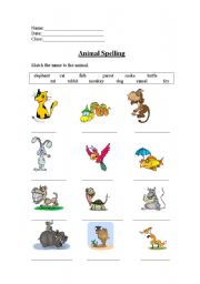 Animal Spelling