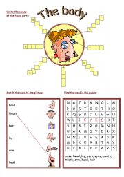 English Worksheet: body parts