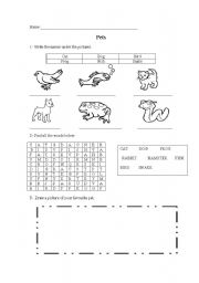 English Worksheet: pets