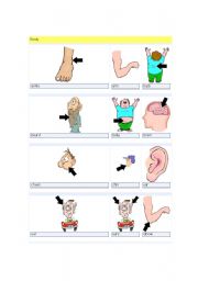 English Worksheet: Body 
