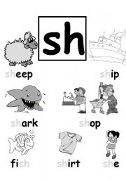 English Worksheet: SH blend poster