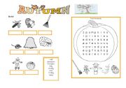 English Worksheet: autumn vocabulary