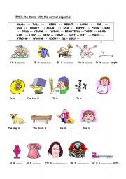 English Worksheet: adjectives