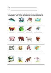 English worksheet: Which animal does not belong?