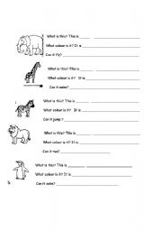 English Worksheet: What is it? What colour is it? animals