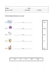 English Worksheet: What Can these Animals do?