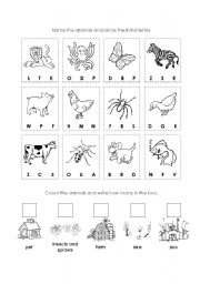 English worksheet: ANIMAL worksheet