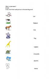 English Worksheet: Animals