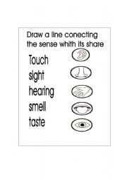 English worksheet: Five senses