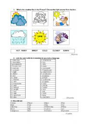 English Worksheet: VOCABULARY TEST FOR PRE-INTERMIDATE STUDENTS