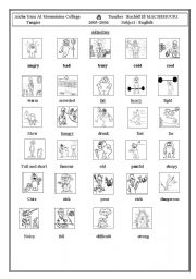 English Worksheet: Adjectives