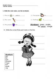 English worksheet: INTRODUCTORY UNIT