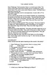 English Worksheet: LUXURY HOTEL