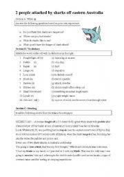 English Worksheet: Shark Attack