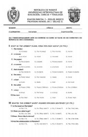 English Worksheet: Partial Exam (Verbs Tenses)